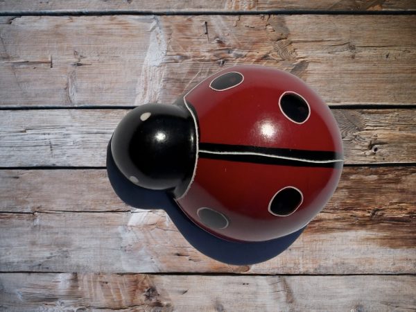 Soapstone Ladybug Figurine Sculpture (Red) - Image 5