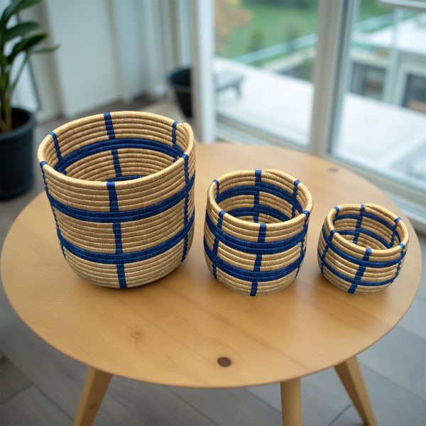 Handwoven African Planter Baskets Set of 3 Handmade Sisal basket Vase for Indoor Home decor Storage - Image 5